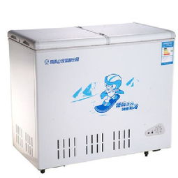 友田KCD-266H 266升大容量冷藏冷冻双温柜的实用选择